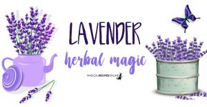 Herbal Magic of Lavender