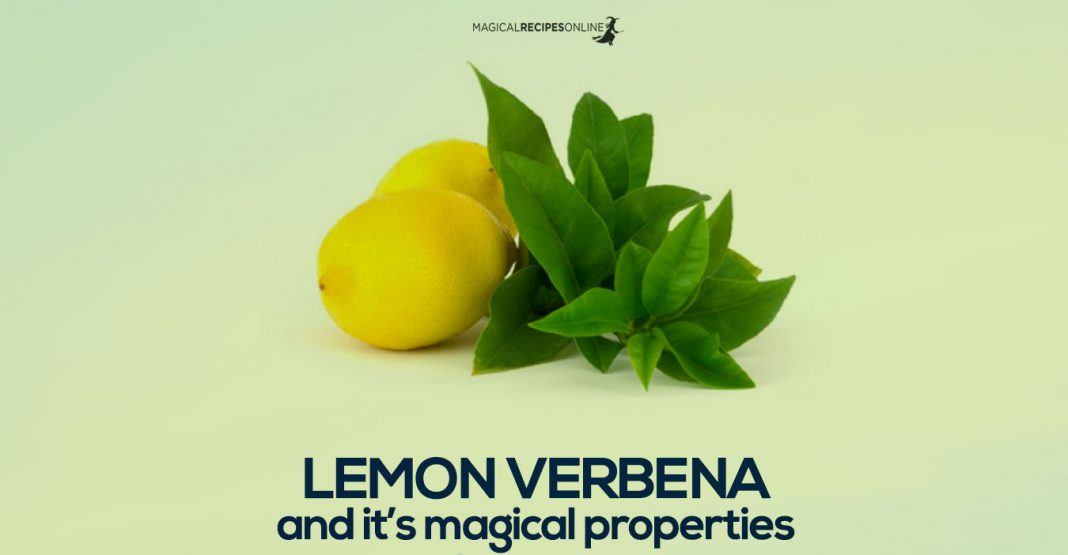 Lemon Verbena's versatile Magical Properties Magical Recipes Online