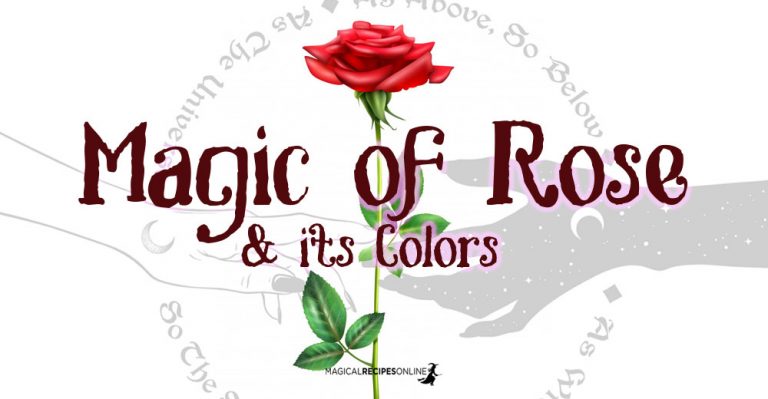 Magic of Rose & its Colors