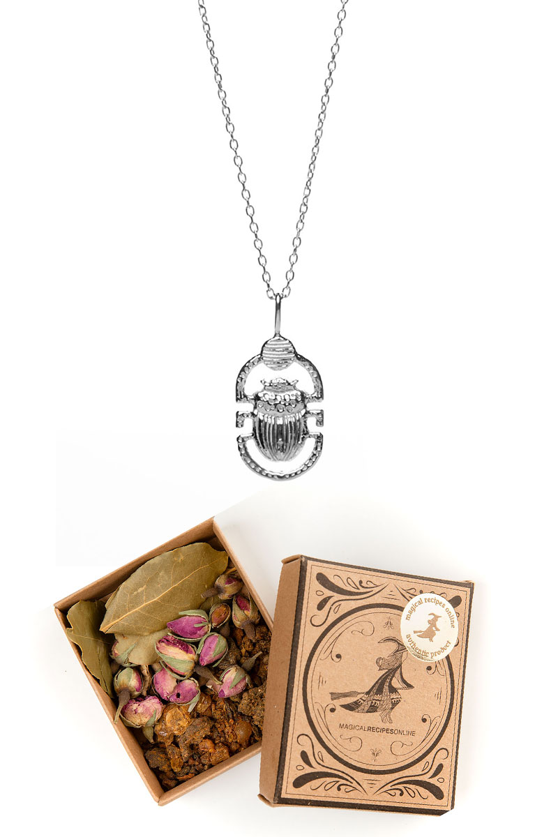 Silver Scarab Necklace