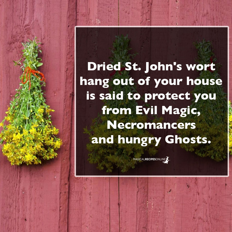 Dried St. John's wort hang out of your house is said to protect you also from Evil Magic, Necromancers and Ghosts.