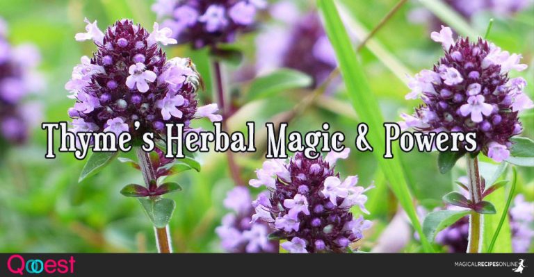 Herbal Magic of Thyme