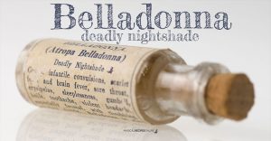 Belladonna, Atropos, Deadly Nightshade: the charming, the shady...the deadly!