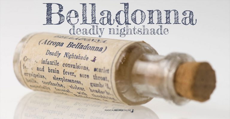 Belladonna, Atropos, Deadly Nightshade:  the charming, the shady…the deadly!