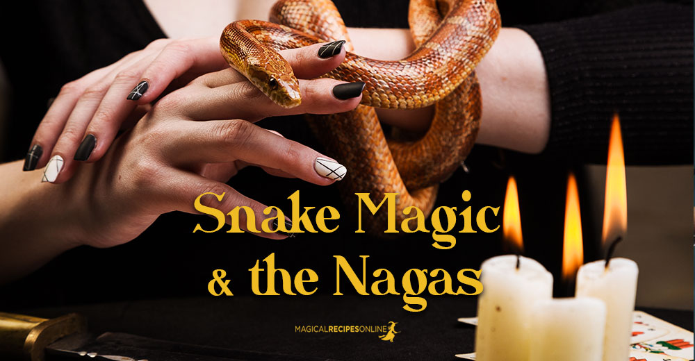 Snake Magic and the Hindu Naga Kings