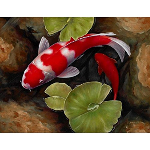 24x34cm Full Square Red Koi Fish Lotus Feng Shui Animal Landscape Canvas Diamond Painting Wall Art Picture for Diamond Embroidery Cross Stitch