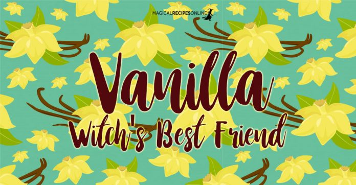 Vanilla, the Witch's Best Friend