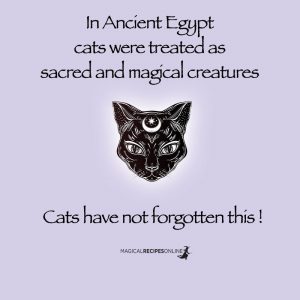 cats magical powers egypt