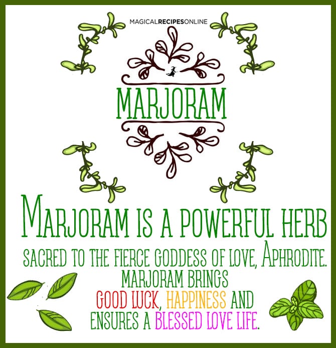 Herbal Magic of Marjoram