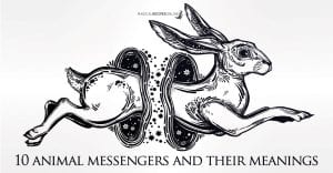 10 Animal Messengers as Omens and their meaning