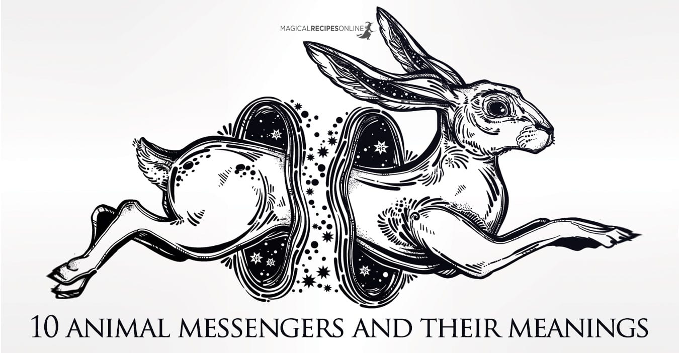 10 Animals as Omens when they cross your path - Magical ...