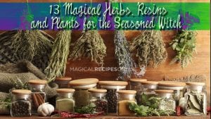 13 magical herbs