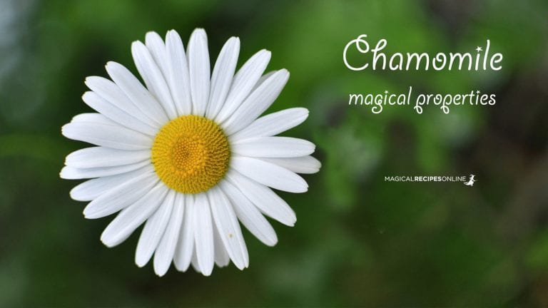Chamomile and its Magical Properties