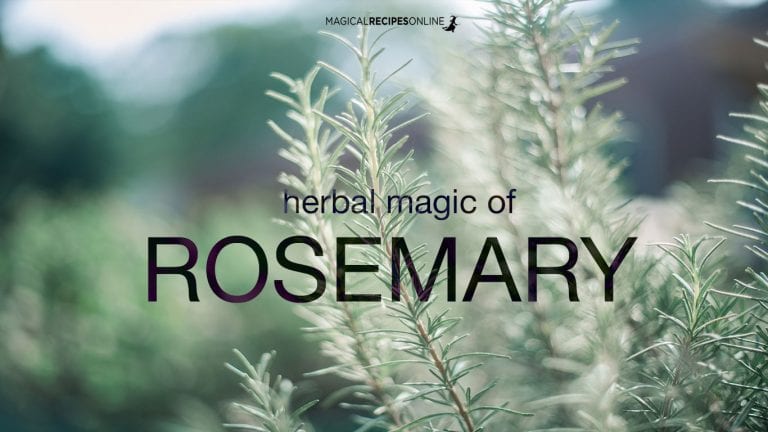 Herbal Magic of Rosemary