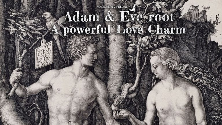 Adam and Eve Root: The witch’s root for love