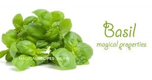 herbal magic of basil