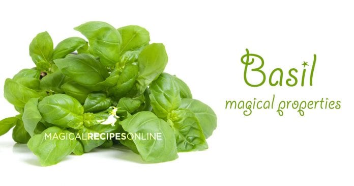 herbal magic of basil