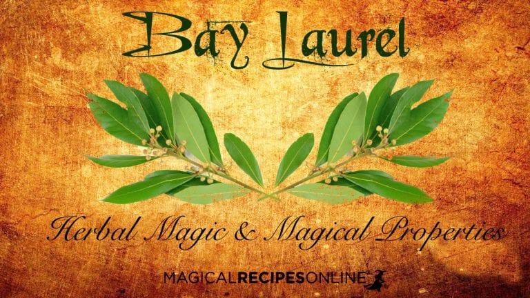 Bay Laurel and its Magical Properties