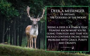 deers are messenger of Artemis -Diana, goddess of the Moon