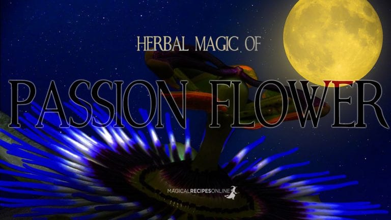 Herbal Magic of Passion Flower – Passiflora