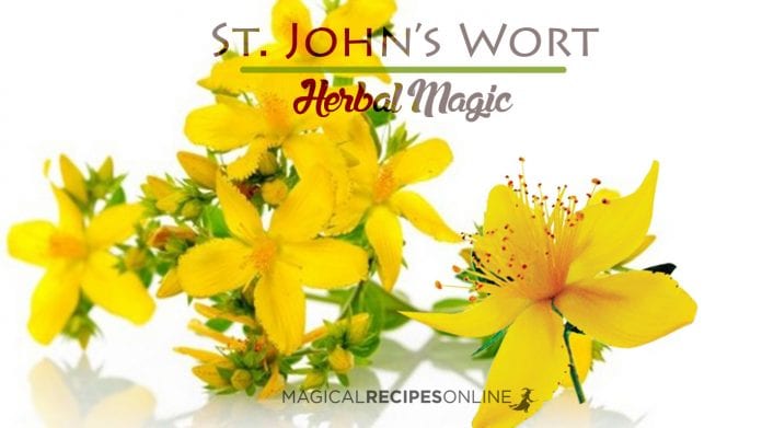 Herb Analysis: Saint John's wort, the Summer Solstice Litha herb
