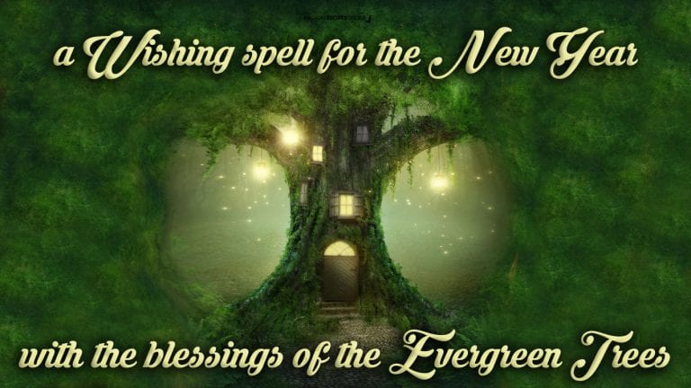 A Wishing spell for the New Year with the blessings of the Evergreen Trees