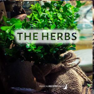 herbs herbal magic quiz