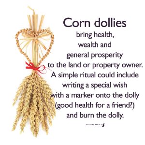 Corn dollies bring health, wealth and general prosperity to the land or property owner. Learn how to make and use corn dollies! 