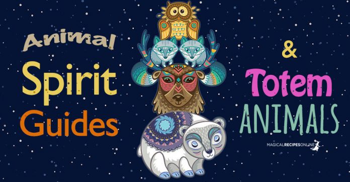 animal spirit guides and totem animlas