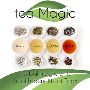 tea magic, green tea, black tea, white tea, oolong tea