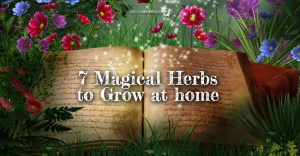 7 Magical Herbs to Grow at Home