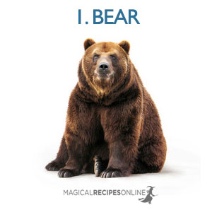 shapeshift bear
