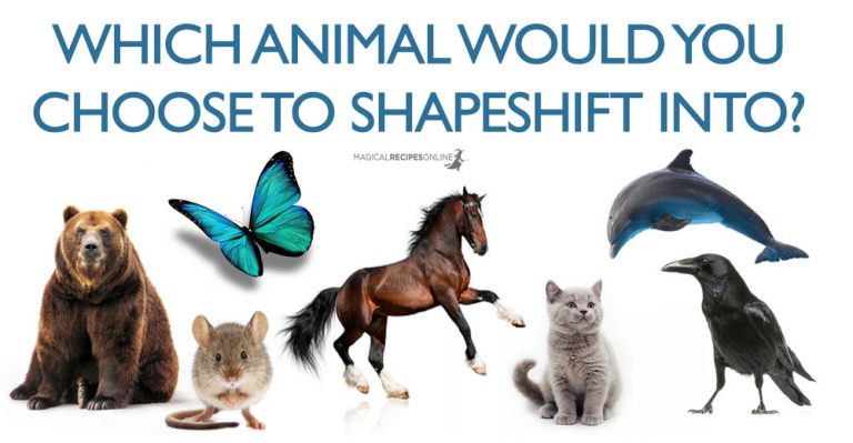 Shapeshift Quiz – Which animal would you Love to Transform into?
