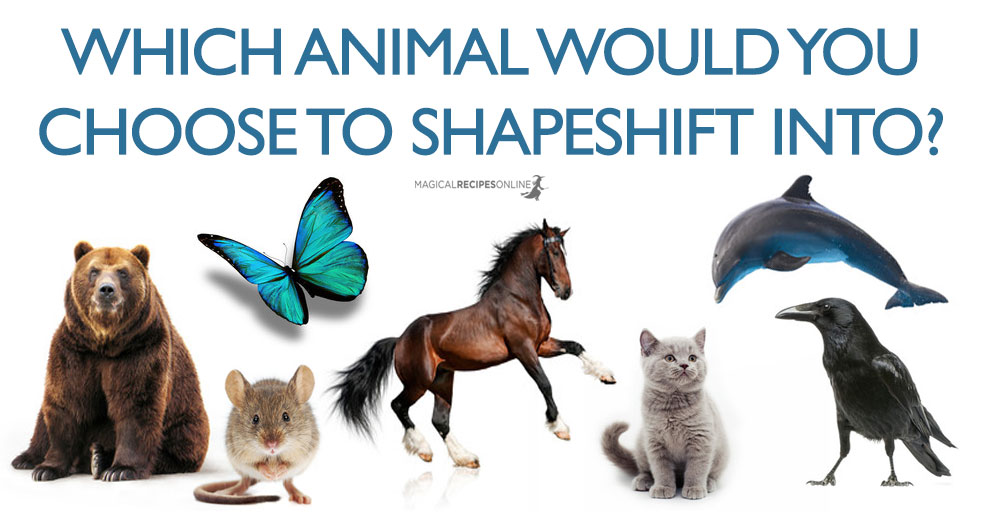 Shapeshift Quiz - Which animal would you Love to Transform into? - Magical  Recipes Online