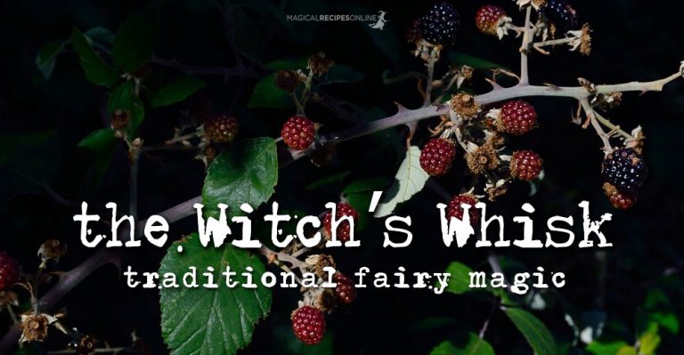 Witch’s Whisk – Fairy Magic