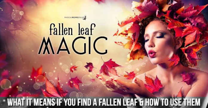 Fallen Leaf Magic - Each one has power