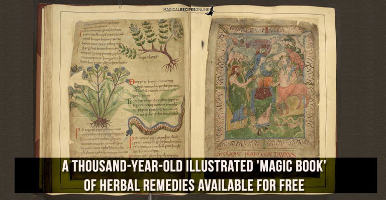 a thousand-year-old Illustrated ‘Magic Book’ of Herbal Remedies Available for Free