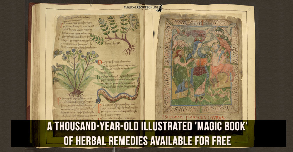 a thousand-year-old Illustrated 'Magic Book' of Herbal Remedies Available for Free