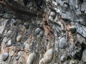 Stone eggs being born from the mysterious mountain. 