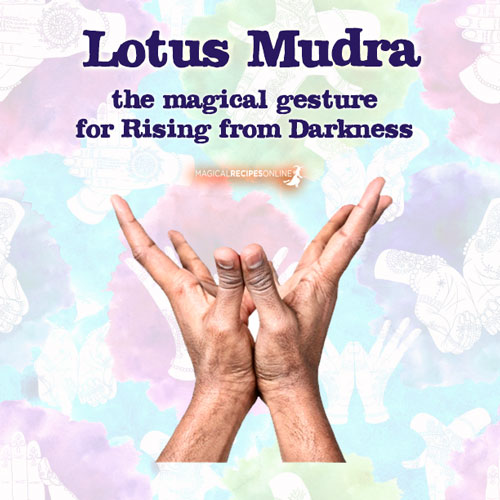 3. The Lotus Mudra: the Mudra of Light