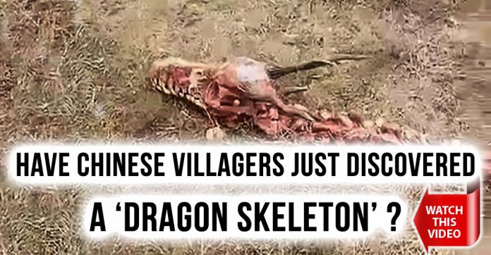 VIRAL: Chinese Villagers convinced they discovered Dragon Skeleton