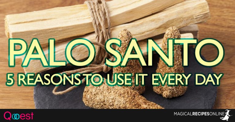 5 Reasons to Use Palo Santo Everyday!