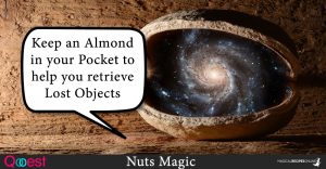 Nuts Magic - Winter's Power in your Pocket