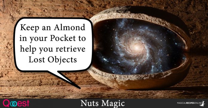 Nuts Magic - Winter's Power in your Pocket