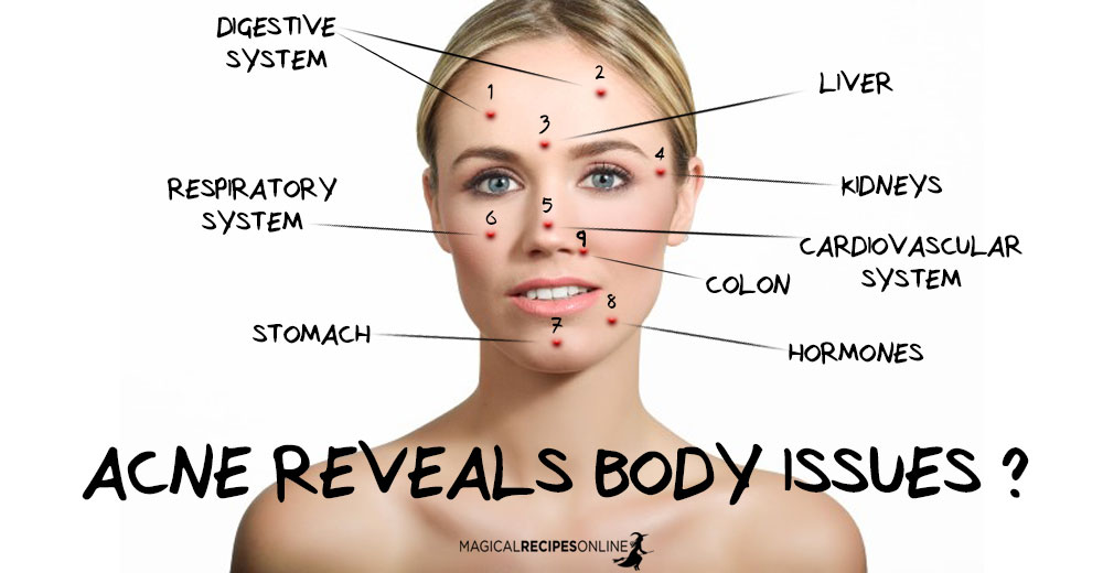 Chinese Medicine Face Chart