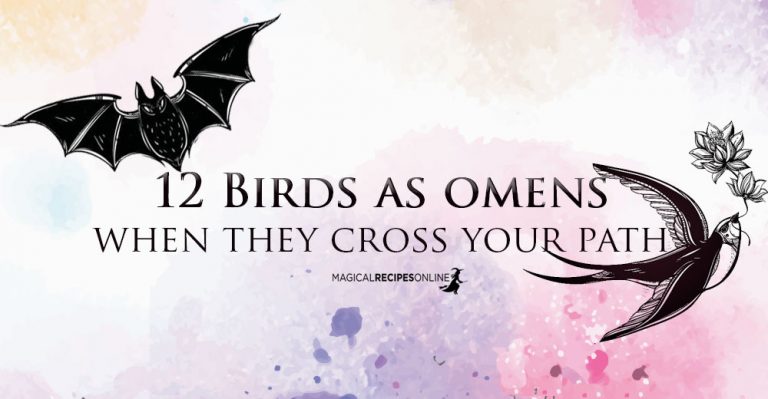 Birds as Omens when they Cross Your Path