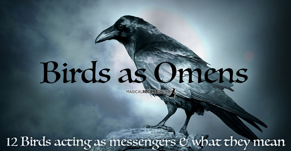 Birds as Omens when they Cross Your Path