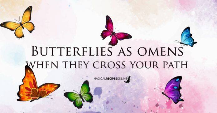 Butterflies as Omens - Their Colors and Meanings if You Spot them