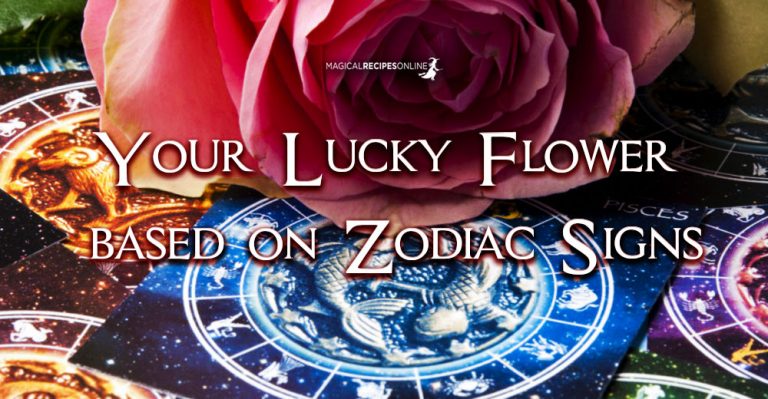 Your Lucky Flower based on Zodiac Signs