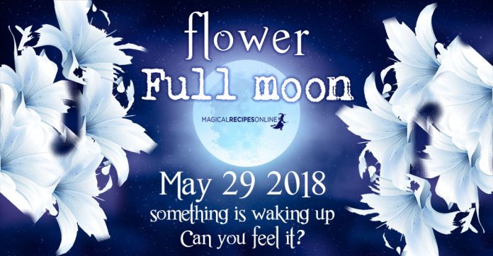 Flower Full Moon